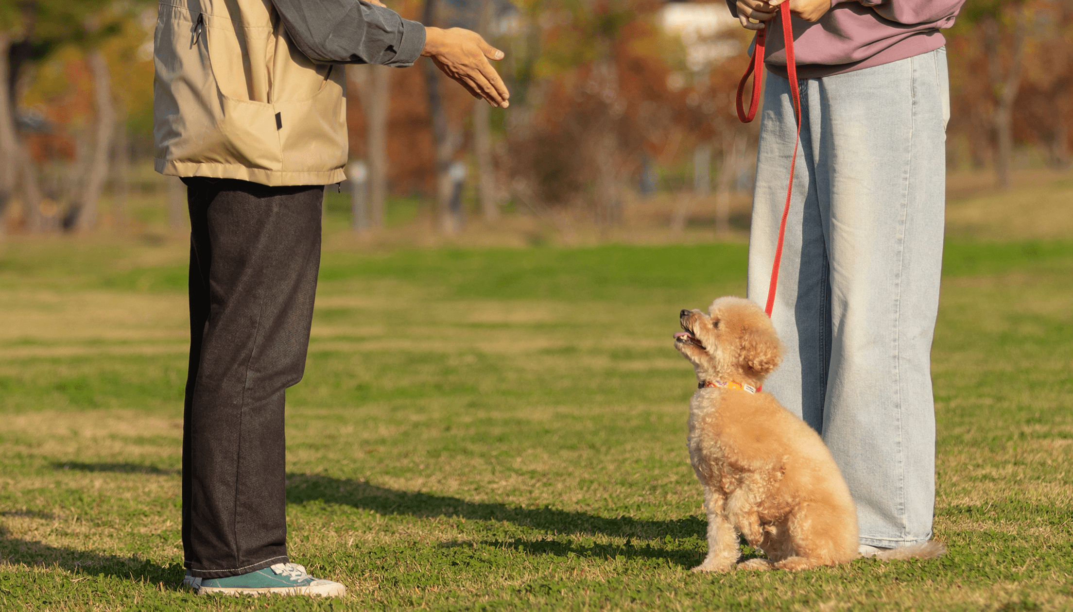 오키도기 히어로