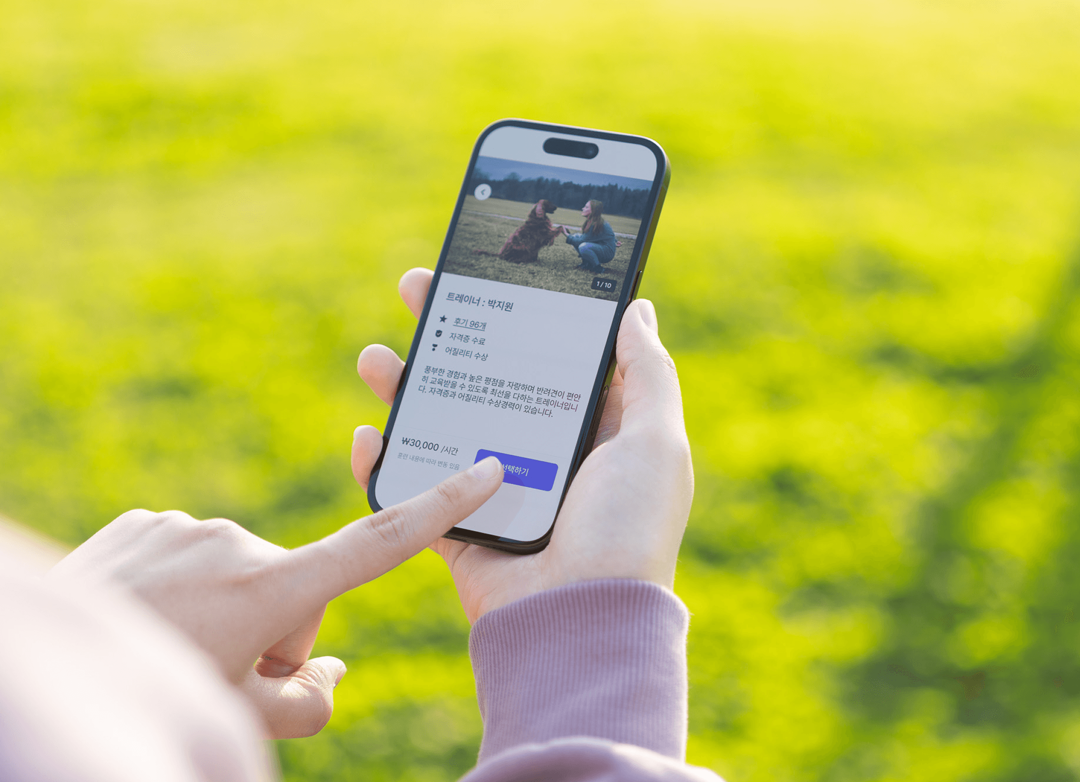 오키도기 서비스